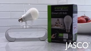 ISFTS The New Enbrighten ZWave Plus Smart Light Bulb [upl. by Notnilc]