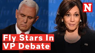 Vice Presidential Debate 2020 Highlights Harris’ Many Faces Fly On Pence’s Head Steals The Show [upl. by Tnecniv]