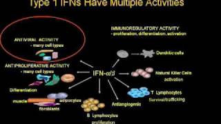 Hepatitis C Virus Infection and Immunity [upl. by Clio]