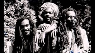 ISRAEL VIBRATION  Reggae On The River [upl. by Acker150]