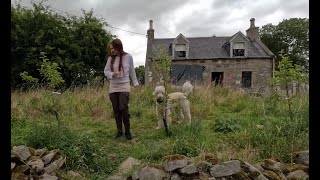 Tasting our first homegrown apple and making fire this cold Scottish summer [upl. by Terag]