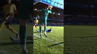 Pickford best saves [upl. by Cleti]