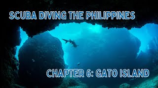 Scuba Diving The Philippines  Gato Island malapascua gatoisland scubadiving [upl. by Erny723]