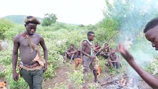 BUSHMEN IN THE BUSH OF AFRICA [upl. by Toback]