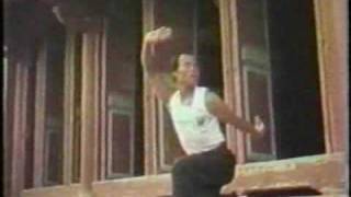 Northern Praying Mantis KungFu Methods [upl. by Ramsey]