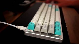 Whitefox mechanical keyboard with Hako Trues typing sound [upl. by Egor543]