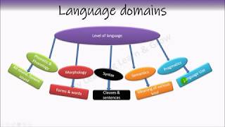 Phonetics  Phonology  Morphology  Syntax  Semantics  Pragmatics [upl. by Khoury745]