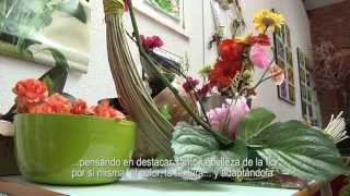 CURSO DE ARTE FLORAL [upl. by Ytram]