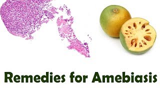 Use this 5 Effective Home Remedies for Amebiasis [upl. by Ozneral]