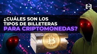 ¿Cuáles son los tipos de billeteras para criptomonedas Billeteras frías y calientes [upl. by Ellita]