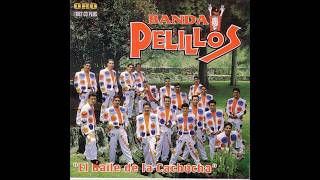 MIX DE CUMBIAS BANDA PELILLOS [upl. by Bille]