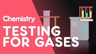 Testing for Hydrogen Oxygen Carbon Dioxide Ammonia and Chlorine  Tests  Chemistry  FuseSchool [upl. by Franciska]