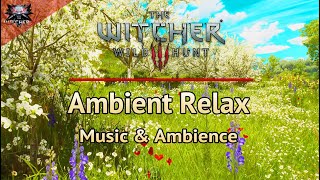 The Witcher 3 Relaxing Ambient Music  4 Hours of Emotional and Relaxing Soundtrack and Ambience [upl. by Martz174]