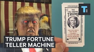 Story Behind The Donald Trump Fortune Teller [upl. by Eruza]