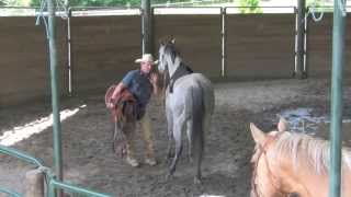 Saddling A Horse For The First Time with Daryl Gibb  Part 2 [upl. by Emmeline]