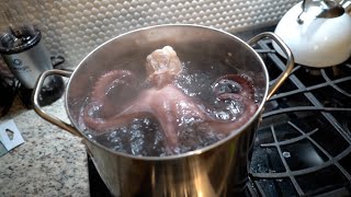 Eating LARGE OCTOPUS MUST WATCH [upl. by Netsoj]