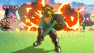 The Latest RANDOMIZER is CRAZY in Breath of The Wild [upl. by Neelon]