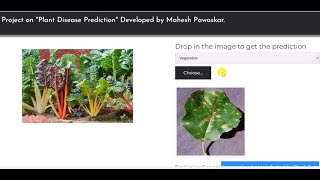 Machine Learning based projectFertilizers Recommendation System for Plants [upl. by Paehpos]