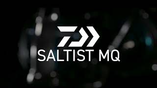 Saltist MQ [upl. by Lathrope]