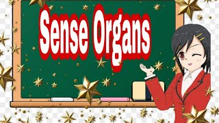 Grade 3 Science  Sense Organs  Five Senses  MTB Binisaya Q2wk 1 [upl. by Leugimesoj]