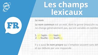 Allô prof  Les champs lexicaux [upl. by Rebmik]