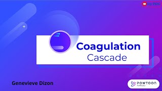 Coagulation Cascade [upl. by Yemar]