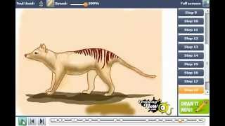 How to draw a Thylacine [upl. by Gnoht]