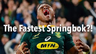 The Fastest Springbok ever Aphiwe Dyantyi is back [upl. by Ingaberg]