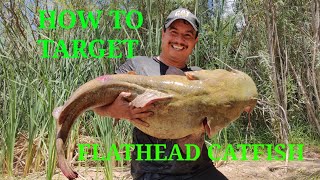 Where To Find Flathead Catfish And What Rigs to Use To Catch Them [upl. by Nysilla838]