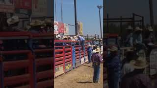 Ky Hardy NorCal Junior rodeo finals Sunday 2018 Oakdale California [upl. by Thorncombe]