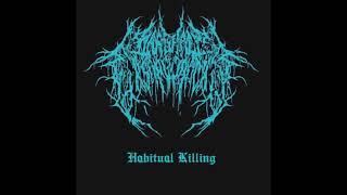 Barbaric Exsanguination  Habitual Killing 2024 NEW SINGLE [upl. by Lorelie]