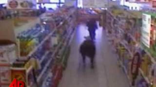 Raw Video Runaway Bull in a Food Shop [upl. by Golda]