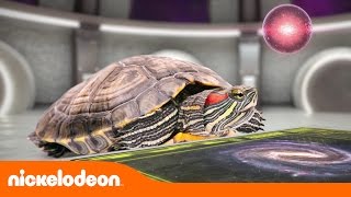 Las Tortugas Ninja  Discusiones entre Archibaldo y Galileo  TMNT  Nickelodeon en Español [upl. by Aimerej368]