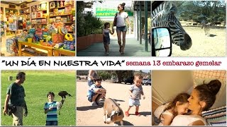 Vlog diario  SEMANA 13 EMBARAZO GEMELAR  La postquedada de Safari y vuelta a Pamplona [upl. by Ahsinuq614]