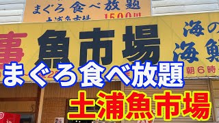 【茨城のまぐろ食べ放題】【激安海鮮丼】土浦魚市場にまぐろ食べ放題を食べに行ってきました。確かに激安なので、行く価値ありです。チェックして時間を調整して行ってください。【kaisendon】 [upl. by Aneleasor]