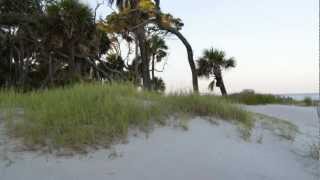 Welcome to Beaufort SC a coastal lowcountry town rich in history [upl. by Hayton]