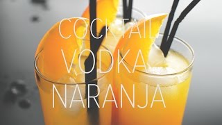 VODKA NARANJA Cocktail  ¿Cómo preparar Vodka Naranja [upl. by Attenad]