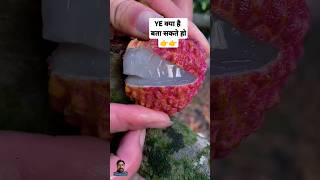 naturallifeb fruit naturalclips fruitcutting naturelife food satisfying [upl. by Dnomhcir737]