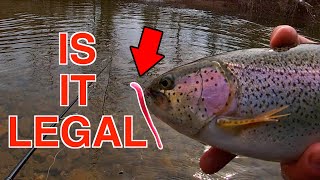 PA Trout Fishing 2024 Is It ILLEGAL Big FISH [upl. by Donalt647]