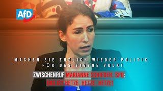 Mariana HarderKühnel AfD 83 der Deutschen wollen Kindergeldzahlungen ins Ausland ganz streichen [upl. by Arral]