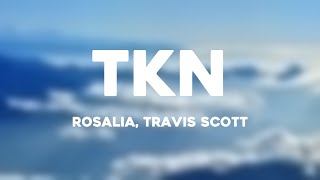 TKN  Rosalia Travis Scott Lyrics Video [upl. by Annehcu]