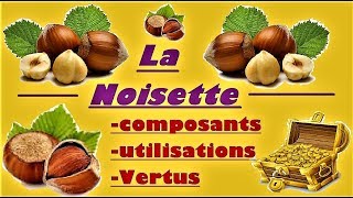 🌿La noisette🌰 un trésor de bienfaits pour la santé [upl. by Townsend782]