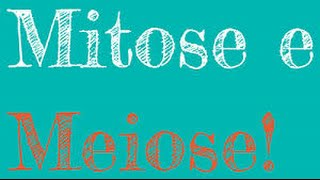 Mitose youtube [upl. by Tybi363]