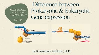 Differences between Prokaryotic and Eukaryotic Gene regulation  CBMP  Part 15 [upl. by Ahselrak]