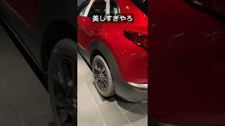 【感激】CX30、実に素晴らしい！🔥😼 MAZDA CX30 SUV [upl. by Engud]