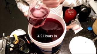 Reusing yeast to start a wine [upl. by Airdnazxela]