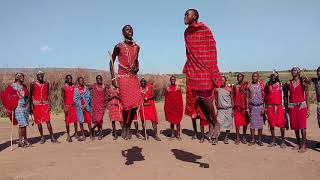 Maasai jumping contest [upl. by Enileqcaj]