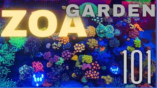 Zoanthid Garden How to [upl. by Kipp799]