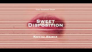 The Temper Trap  Sweet Disposition Kotto Remix [upl. by Yevreh484]