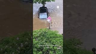 quotStop What Are You Doingquot Driver Plunges Into Flooded Creek Climbs Pole [upl. by Ketchum867]